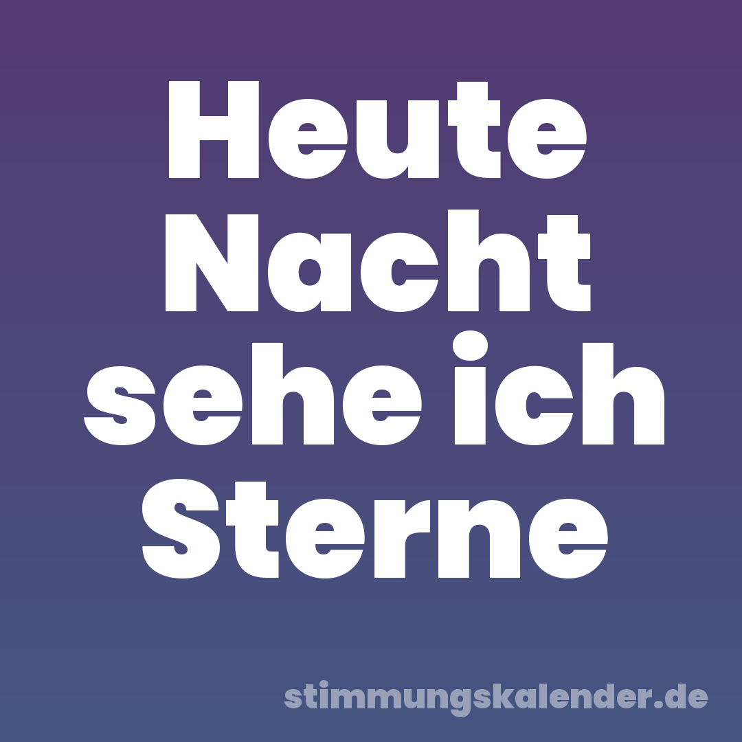 Heute Nacht sehe ich Sterne