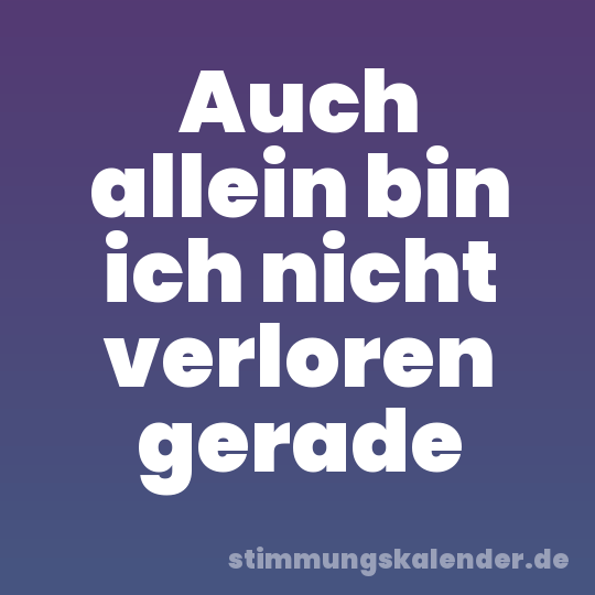 Auch allein bin ich nicht verloren gerade