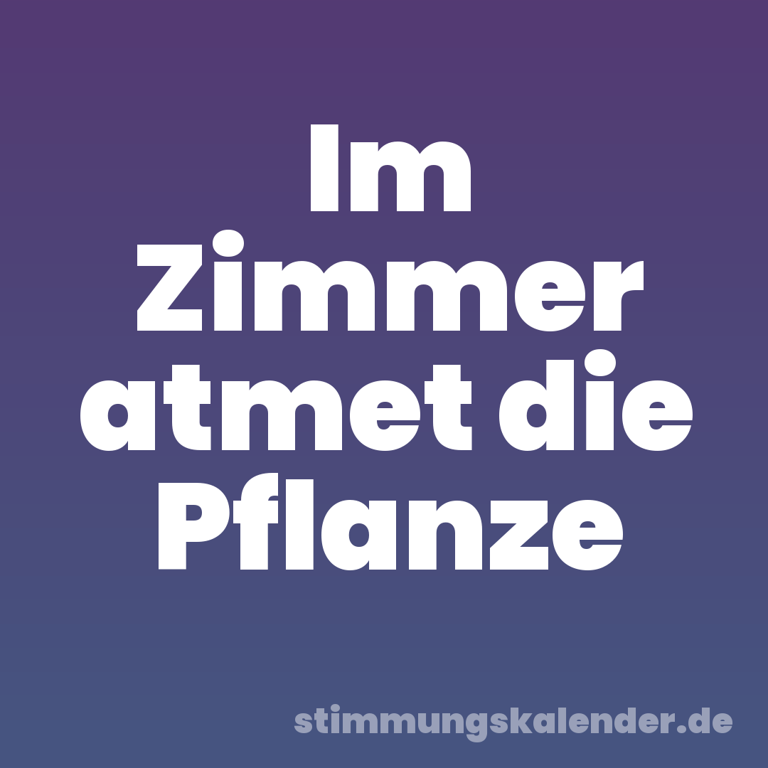 Im Zimmer atmet die Pflanze