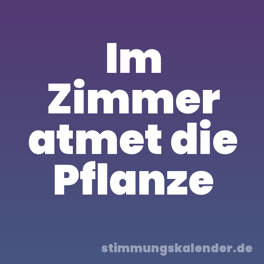 Im Zimmer atmet die Pflanze