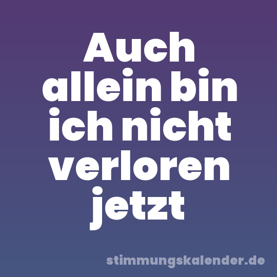 Auch allein bin ich nicht verloren jetzt