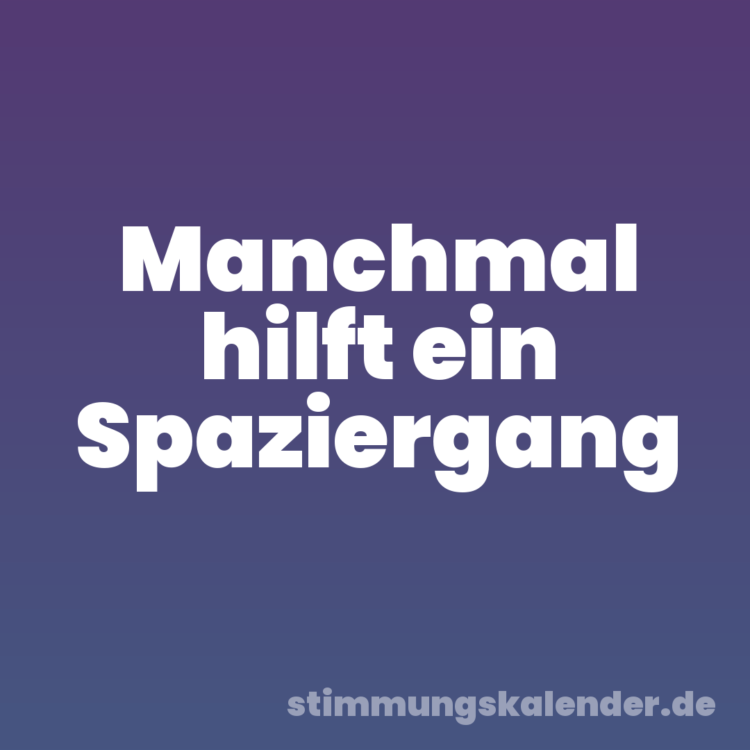 Manchmal hilft ein Spaziergang