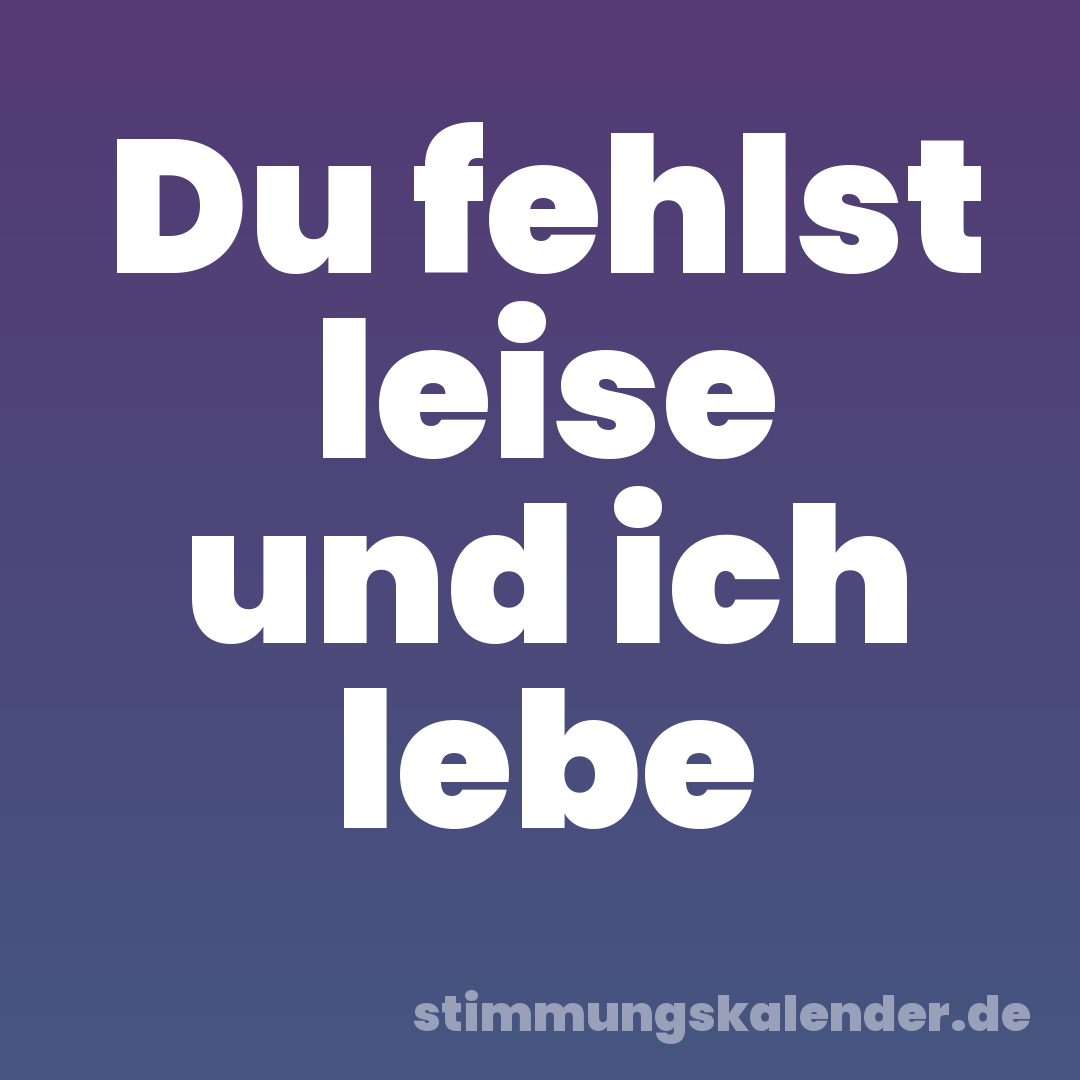 Du fehlst leise und ich lebe