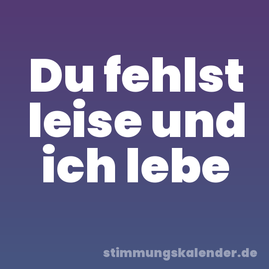 Du fehlst leise und ich lebe