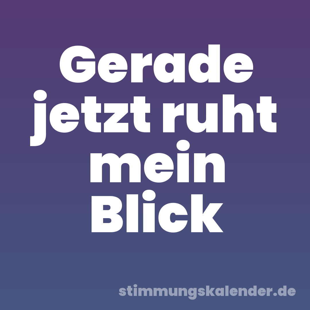 Gerade jetzt ruht mein Blick