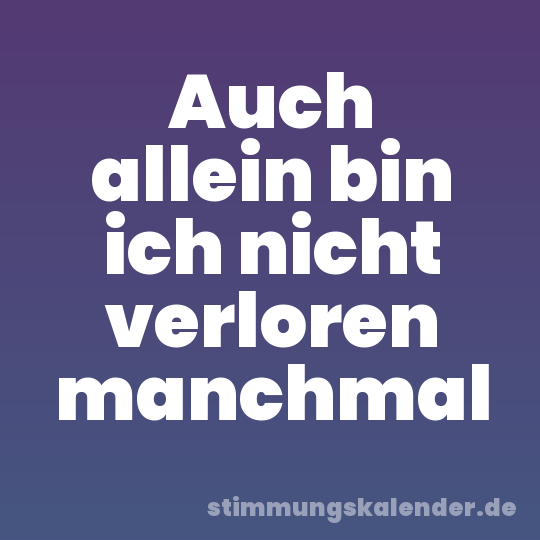 Auch allein bin ich nicht verloren manchmal