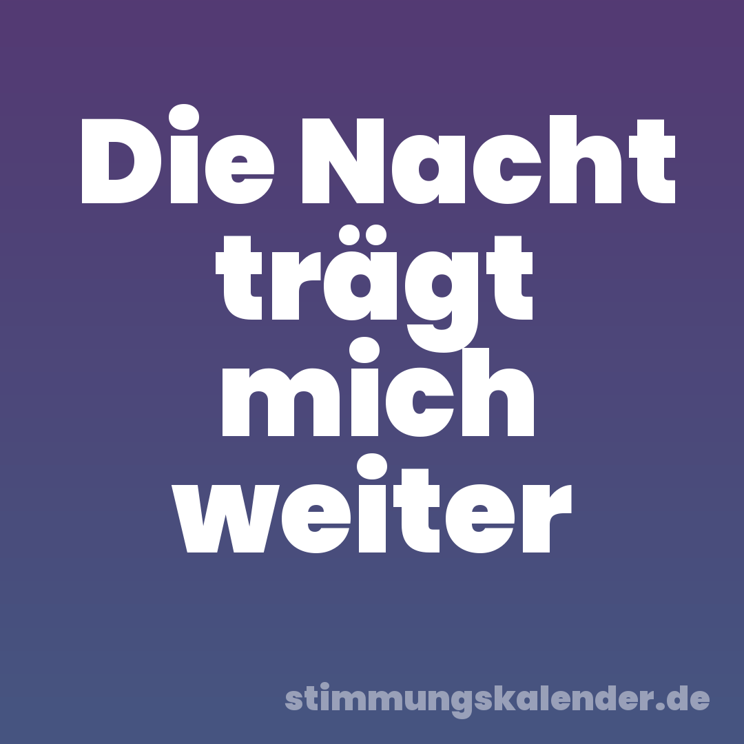 Die Nacht trägt mich weiter