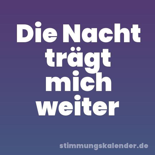 Die Nacht trägt mich weiter