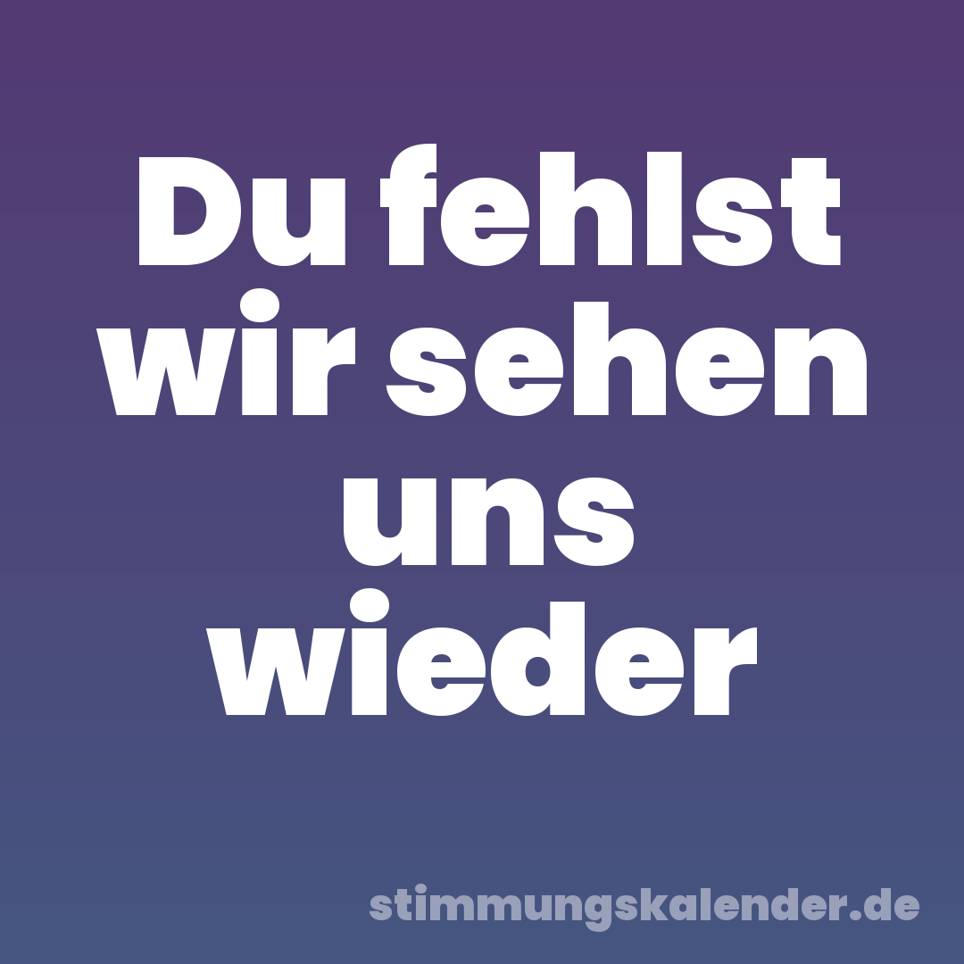 Du fehlst wir sehen uns wieder