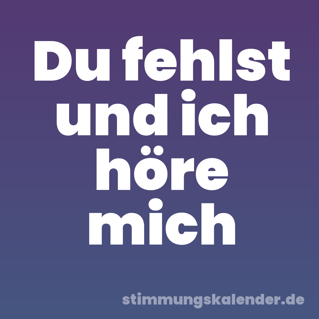 Du fehlst und ich höre mich