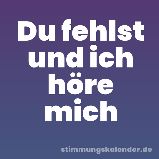 Du fehlst und ich höre mich