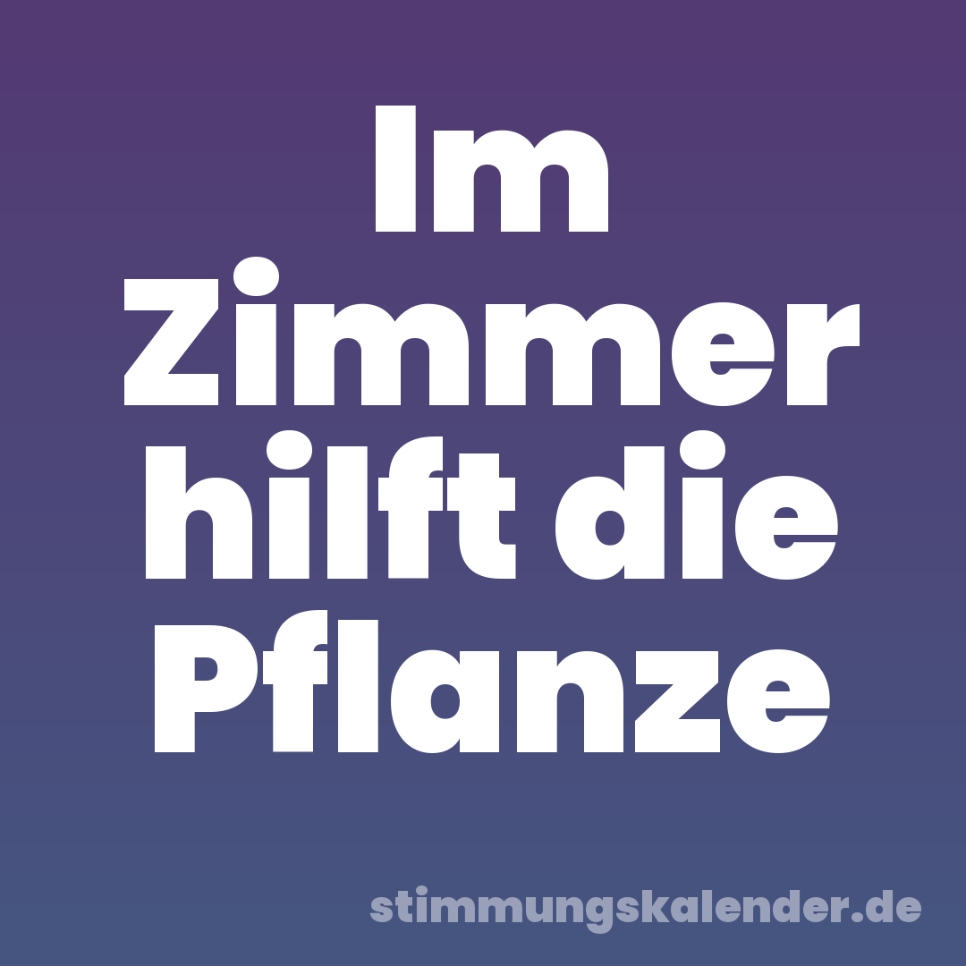 Im Zimmer hilft die Pflanze