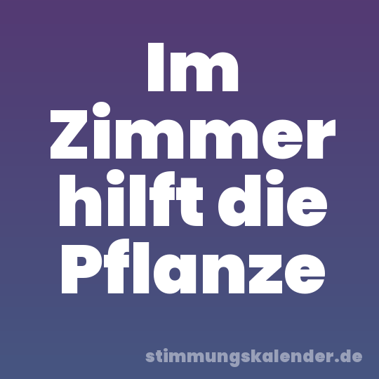 Im Zimmer hilft die Pflanze
