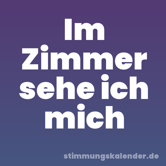 Im Zimmer sehe ich mich