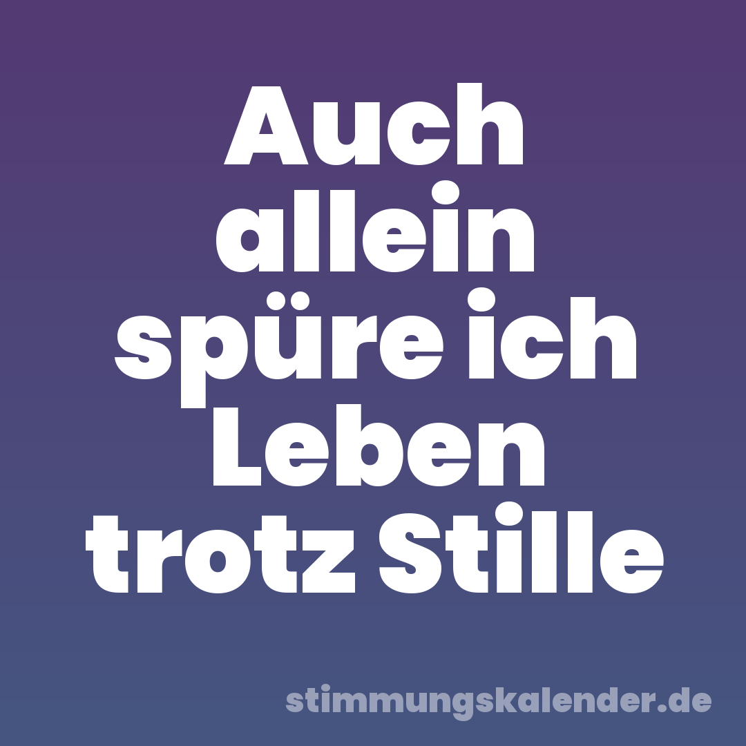 Auch allein spüre ich Leben trotz Stille