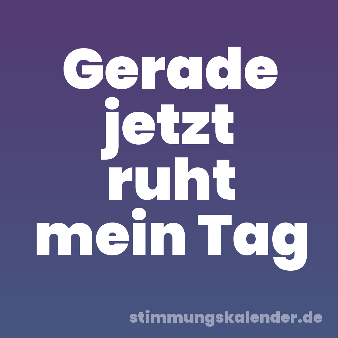 Gerade jetzt ruht mein Tag