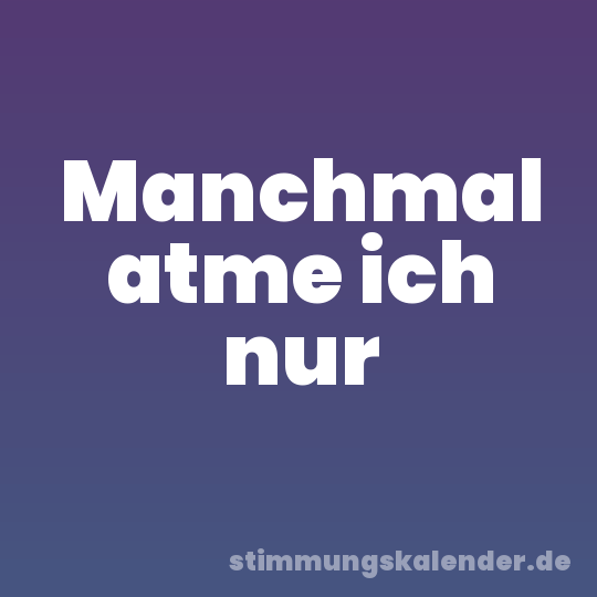 Manchmal atme ich nur