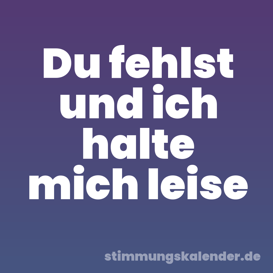 Du fehlst und ich halte mich leise