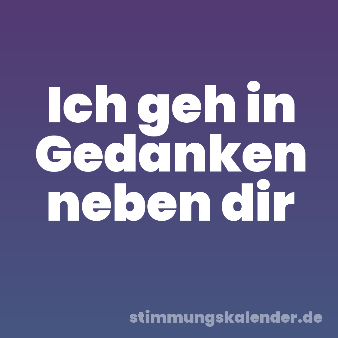 Ich geh in Gedanken neben dir