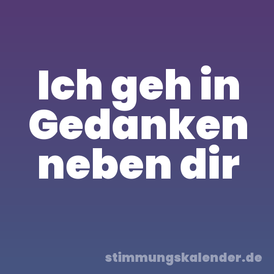Ich geh in Gedanken neben dir