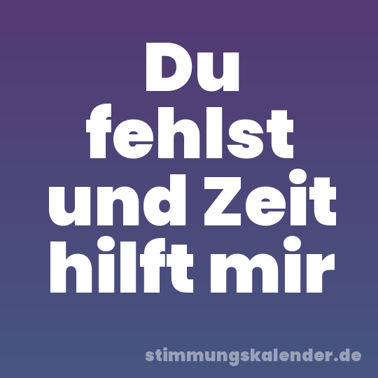 Du fehlst und Zeit hilft mir