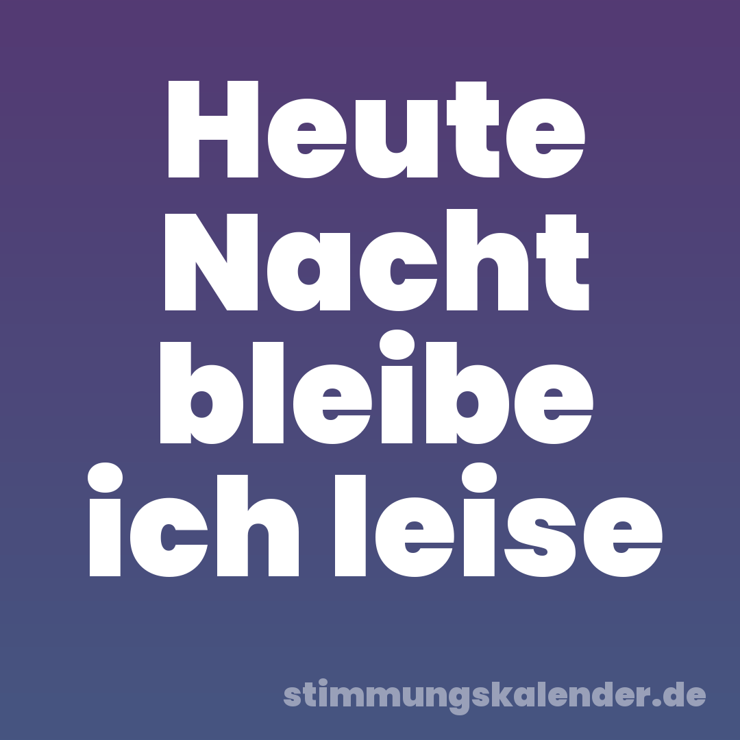 Heute Nacht bleibe ich leise