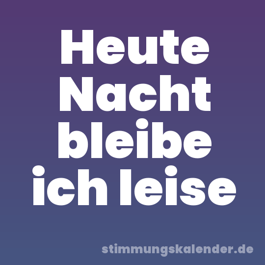 Heute Nacht bleibe ich leise