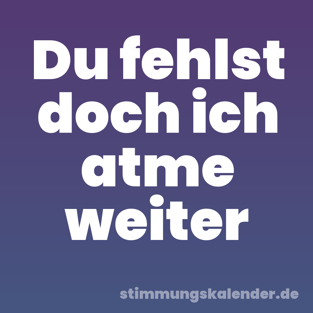 Du fehlst doch ich atme weiter