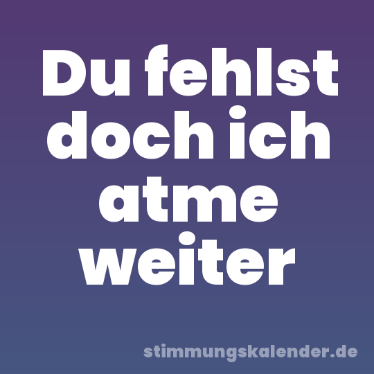 Du fehlst doch ich atme weiter