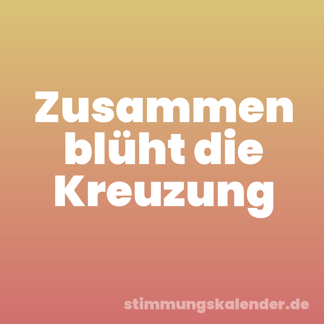 Zusammen blüht die Kreuzung
