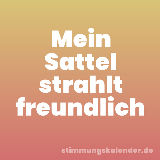 Mein Sattel strahlt freundlich