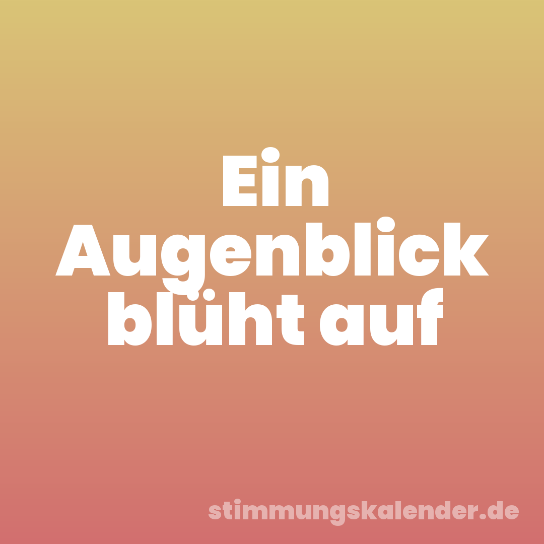 Ein Augenblick blüht auf