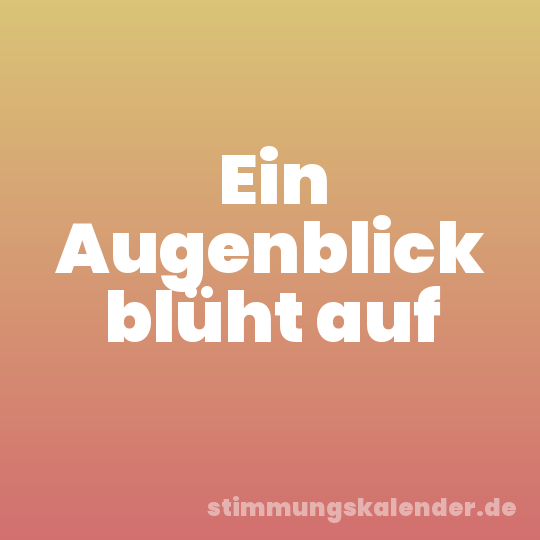 Ein Augenblick blüht auf