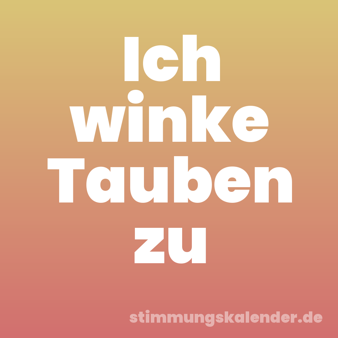 Ich winke Tauben zu
