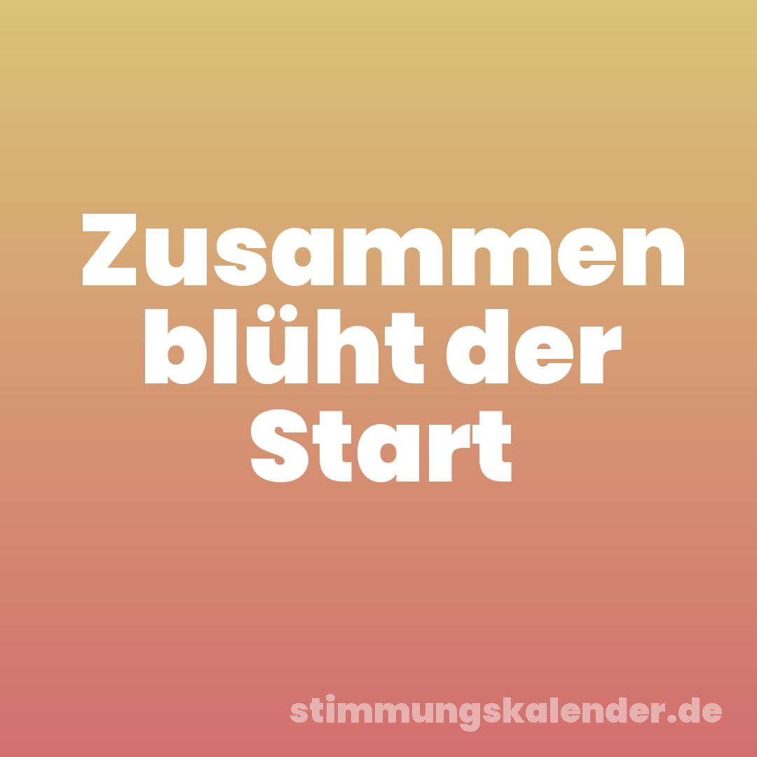 Zusammen blüht der Start