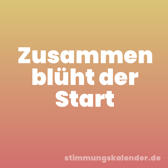 Zusammen blüht der Start