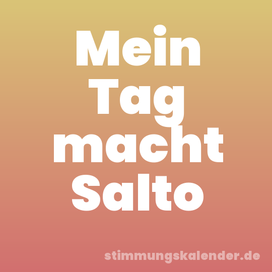 Mein Tag macht Salto
