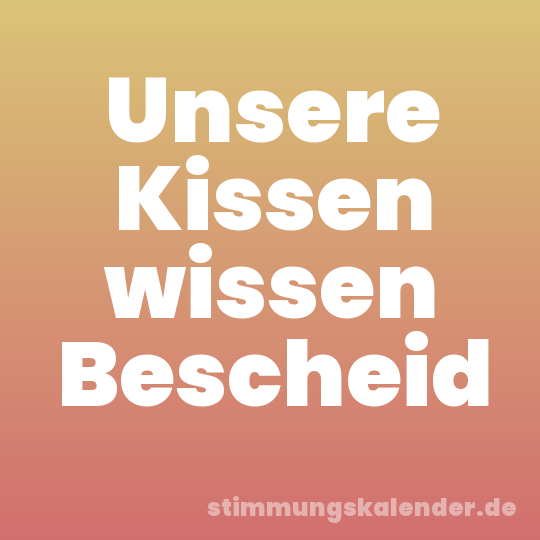 Unsere Kissen wissen Bescheid