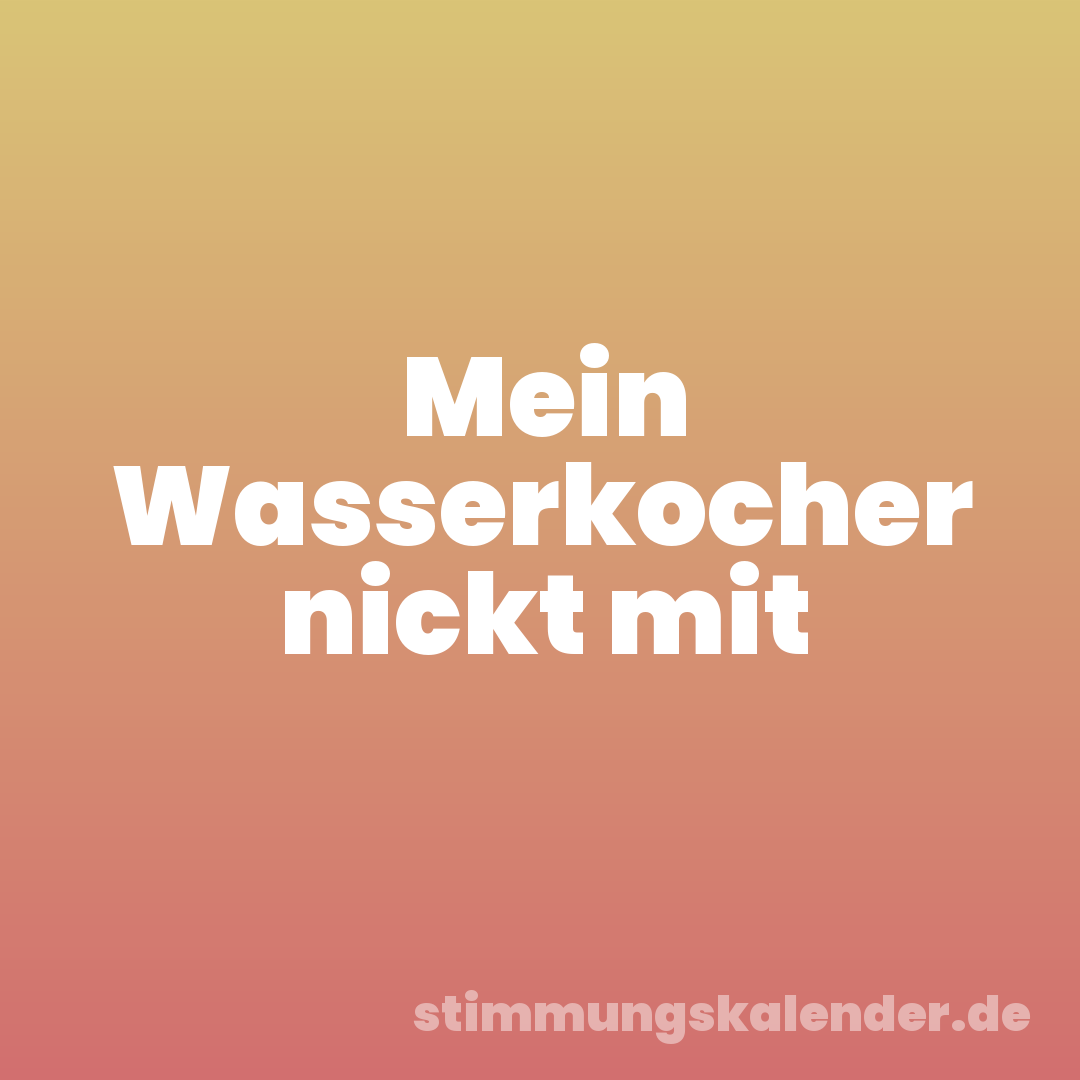 Mein Wasserkocher nickt mit