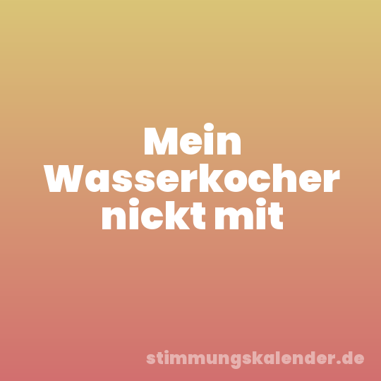 Mein Wasserkocher nickt mit