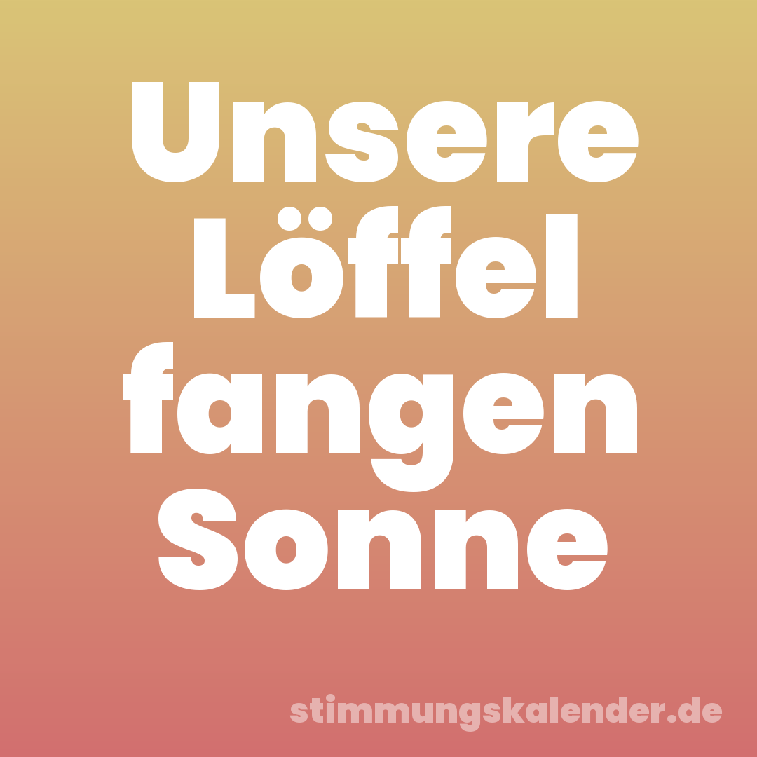 Unsere Löffel fangen Sonne