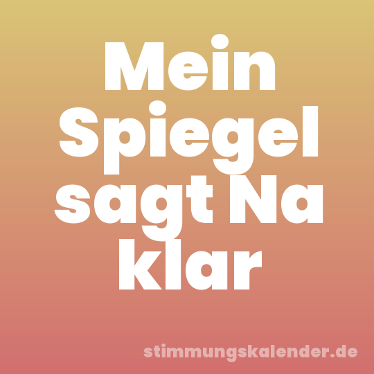 Mein Spiegel sagt Na klar