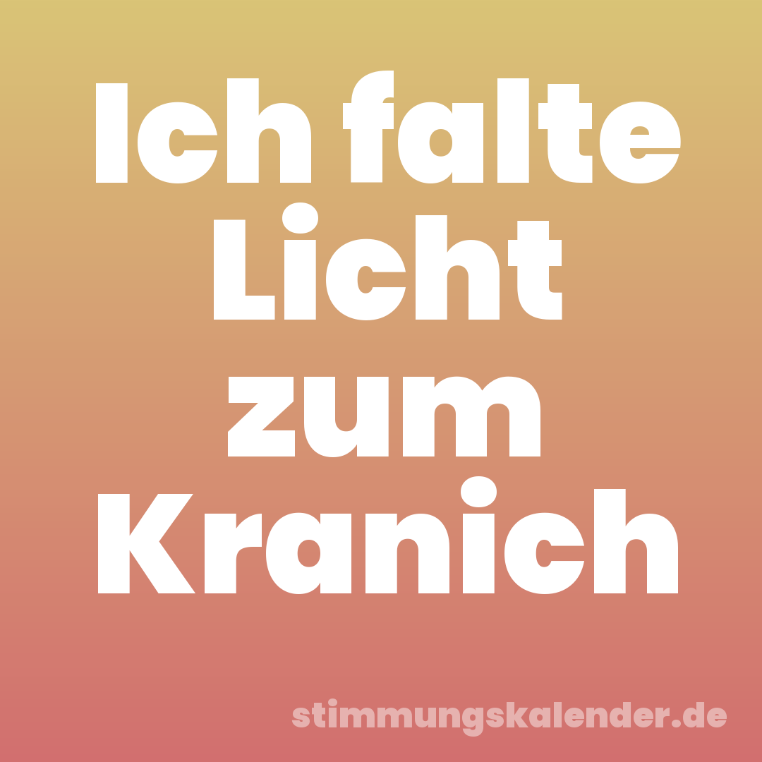 Ich falte Licht zum Kranich
