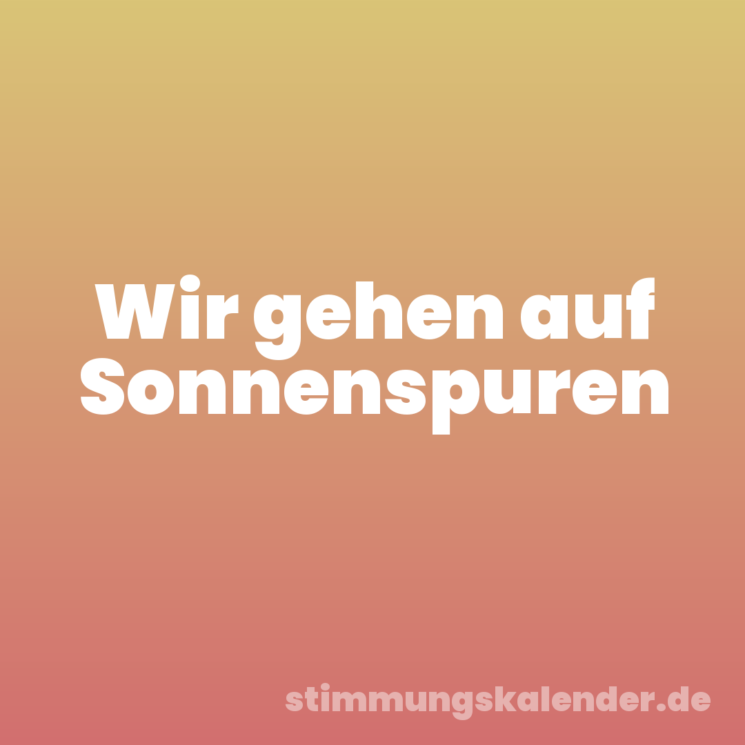 Wir gehen auf Sonnenspuren