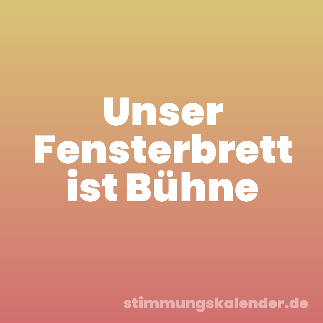 Unser Fensterbrett ist Bühne