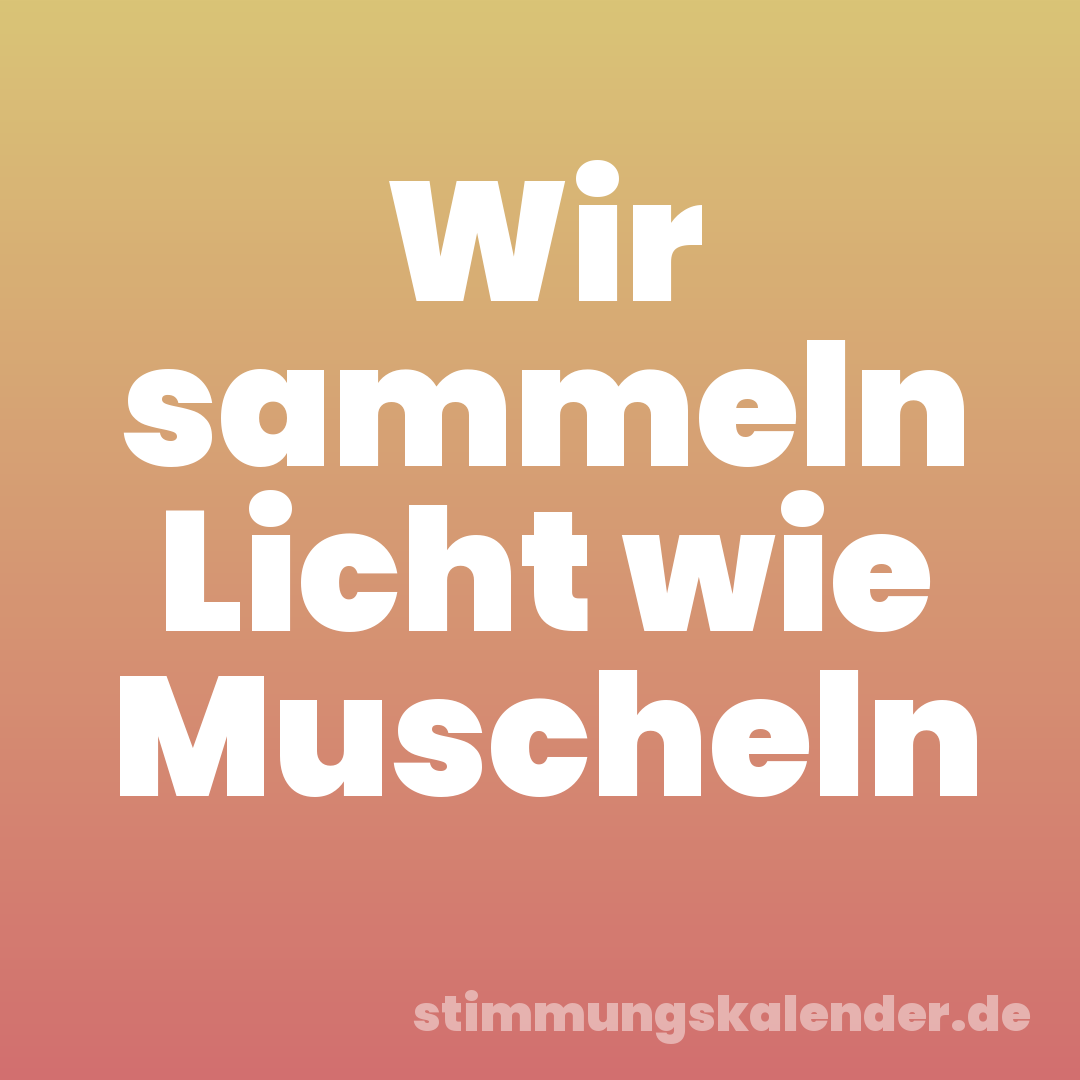 Wir sammeln Licht wie Muscheln