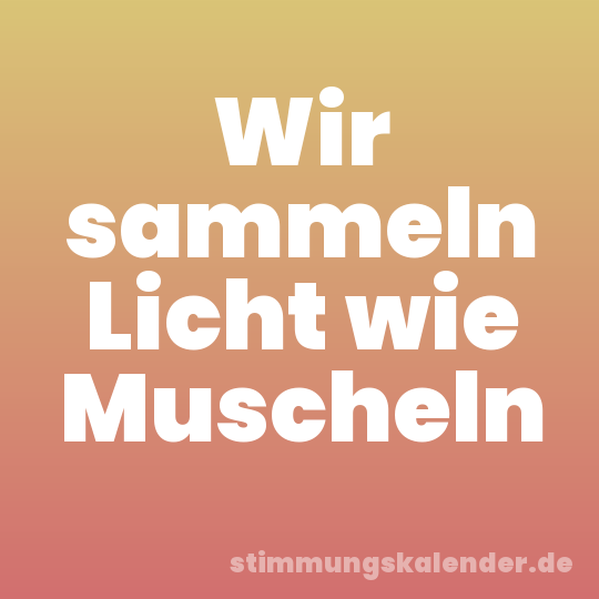 Wir sammeln Licht wie Muscheln