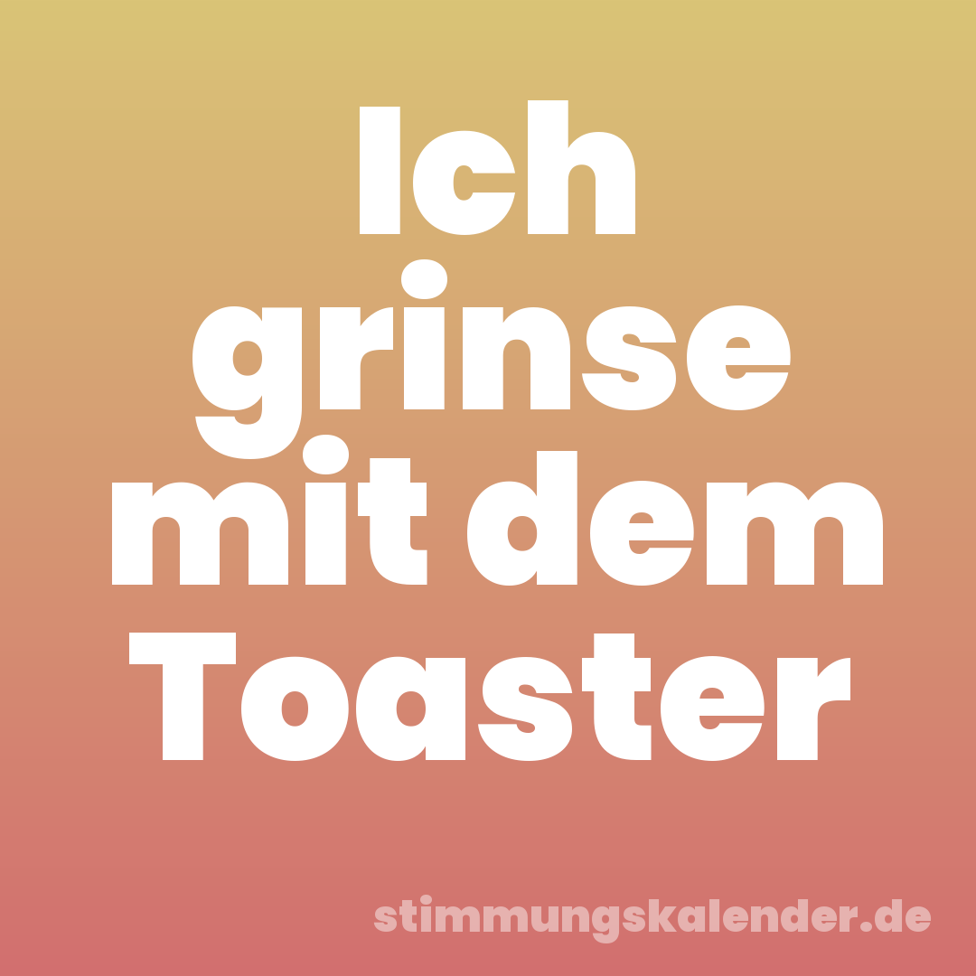 Ich grinse mit dem Toaster