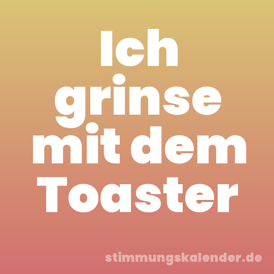Ich grinse mit dem Toaster