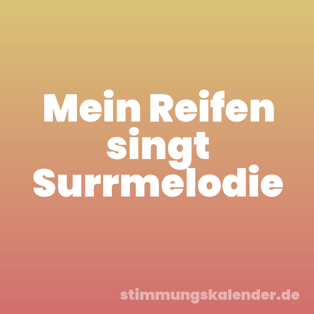 Mein Reifen singt Surrmelodie
